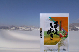 令和７年産山形たかはた屋代郷　精米はえぬき5kg　（ラミ袋仕様）