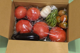 新鮮野菜 詰め合せ 旬セット ５品目（トマト,なす,きゅうり,ミニトマト,ピーマン他）