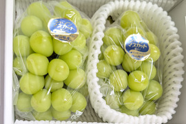 樹上完熟！岡山県備前市産びぜん葡萄【シャインマスカット】約1kg（2房前後）