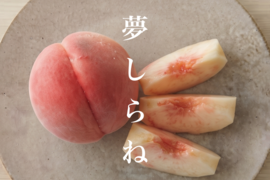 【2027年先行】【数量限定・レア桃】【夏ギフト】【朝どれ】夢しらね｜南アルプスの夏を彩る華やかな希少桃（おうち用）約4kg 約10~12玉
