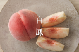 【2027年先行】【やわらかめ桃】【朝どれ】白鳳｜果汁あふれる定番やわらか桃 2kg 約5~8玉