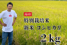 農家直送  特別栽培米  新米２０２５『コシヒカリ』 令和７年産 ２キロ