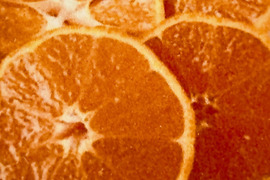 大津4号の通販｜みかん｜食べチョク｜産地直送(産直)お取り寄せ