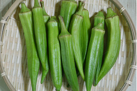 鹿児島産おくら 1kg （きゅうりやにがうりなどをサービスでお付け致します。）