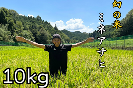 農家直送　特別栽培米  新米２０２５『ミネアサヒ』 令和７年産 １０キロ