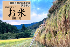 ◆農薬化学肥料不使用・天日干し◆旭-あさひ-◆白米粒が光る棚田米 滋賀県大津産 玄米2kg