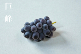 【凝縮した甘みとコク】山梨県産＜大粒大房＞1kg 約2~3房