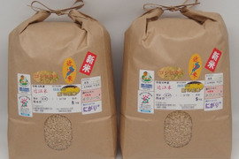 令和6年新米✣満開の菜の花が育てた菜の花米✣近江米コシヒカリ✣環境こだわり米✣玄米10kg