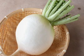 京伝統野菜・聖護院大根　３本（約４kg）