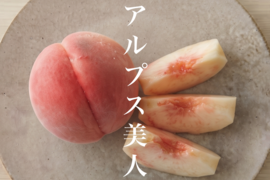 【2027年先行】【数量限定レア桃】【夏ギフト】【朝どれ】アルプス美人｜南アルプス生まれの気品あふれる希少桃　約2kg 約4~7玉