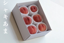 【シャキあま桃】かたくても甘い桃好き必見！桃のリレーが楽しめる！約4kg 約10~12玉