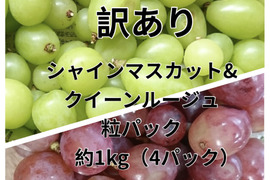 お得！訳ありシャイン&ルージュ粒パック　約1kg（4パック）