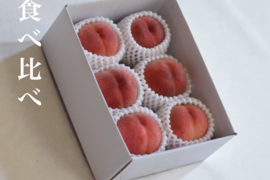 【食べ比べ】桃の旬を食べ比べる二品種セット　約2kg 約5~6玉