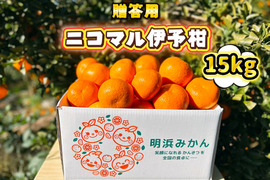 🍊香り推し🍊伊予柑　贈答用 15kg