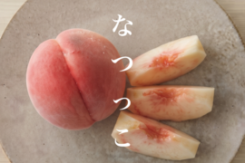 【2027年先行】【朝どれ】【夏ギフト】なつっこ｜かたくても甘い夏の定番桃　約4kg 約10~12玉