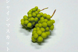 【はじける香り！甘ジューシー】南アルプス産＜大粒大房＞シャインマスカット3房