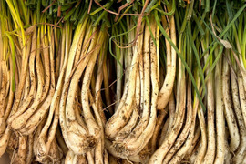 土付き　沖縄島ラッキョウ（小粒）　4㎏