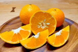 自然栽培　伊予柑Ｂ品５kg🍊　香り豊かで果汁たっぷり🍊