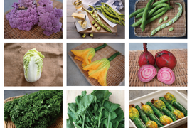 【月・金曜発送便】ココロ躍る🌈おまかせ野菜セット【さいたま市産】