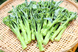 【予約増量♪】"子どもがモリモリ食べる！"茎ブロッコリー 食べきり　700g→725g  from 名水の里　神奈川県秦野市