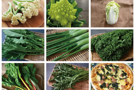 【月・金曜発送便】ココロ躍る🌈おまかせ野菜セット【さいたま市産】