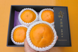 プライスダウン１割引　甘柿『輝太郎柿』甘くて美味しい 　サイズ４Ｌ・５個 ・１.55kg以上 化粧箱入り