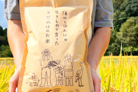 【令和8年新米】湧水と田んぼの生きもので育った自然栽培のお米（白米2kg)