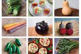 【月・金曜発送便】ココロ躍る🌈おまかせ野菜セット【さいたま市産】