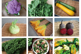【月・金曜発送便】ココロ躍る🌈おまかせ野菜セット【さいたま市産】