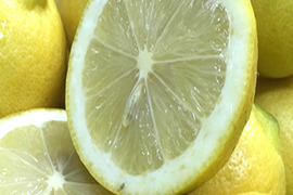 レモン 加工用 10kg 国産 瀬戸内レモン 広島レモン 瀬戸田レモン 加工用レモン 瀬戸内レモン ノーワックス 防腐剤不使用