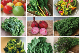 【月・金曜発送便】ココロ躍る🌈おまかせ野菜セット【さいたま市産】