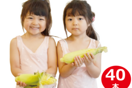 【夏ギフト】《わけあり》業務用 とうもろこし40本 店舗 コーンリブ 焼きとうもろこし用 直売店で1時間に1000本以上が売れたこともあります 岡山 ひるぜん農園 WAKE_40