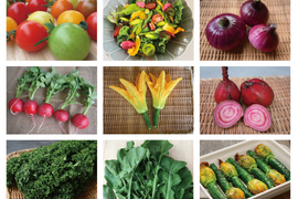 【月・金曜発送便】ココロ躍る🌈おまかせ野菜セット【さいたま市産】