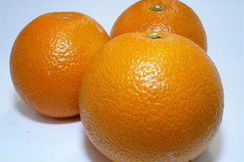 紅八朔 訳あり 5kg 尾道 広島産 紅八朔 家庭用紅八朔