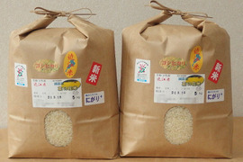 菜の花緑肥栽培✢菜の花米✢近江米コシヒカリ☆《にがり》ミネラルで旨味アップ☆令和3年産☆10kg☆白米