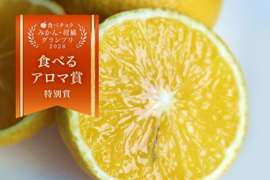 柑橘グランプリ 食べるアロマ賞【3月下旬発送予定】奇跡の果実『黄金柑』ゴールデンオレンジ 2kg あふれる果汁とさわやかな甘み 黄蜜柑 仲屋 海瀬農園