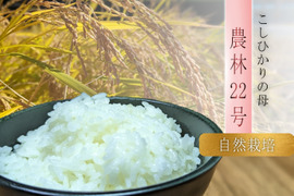 今や幻のお米！？自然栽培の農林22号（10kg）玄米（精米可能）