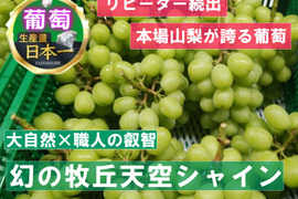 🍇日テレ出演で話題沸騰🍇幻の牧丘天空シャインマスカット最高糖度25度オーバー高原地で育つ幻の葡萄『2025年11月上旬発送』約2kg4～8房【朝どれ】