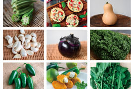 【月・金発送】7〜9種の珍しいヨーロッパ野菜＊ココロ躍る🌈おまかせ野菜セット【農家直送・さいたま市産】【9周年感謝祭】