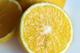 奇跡の果実！『ゴールデンオレンジ 黄金柑』あふれる果汁とさわやかな甘みの黄蜜柑 2kg 仲屋 海瀬農園