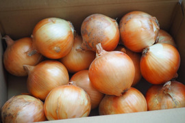 少し訳あり「あま〜くて」美味しい淡路島玉ねぎ　5kg