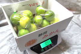 爽やかな香りで果汁たっぷり！ライム　1㎏　静岡県より産地直送