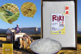 【真空パック】5Kg×2袋　新潟コシヒカリ🏆食べチョクお米グランプリ2025🏆銀賞『Riki-Saku』。冷めると甘みが増します。（内のし/名入れ可）【令7新米】【冬ギフト】