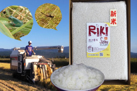 【冬ギフト】『Riki-Saku』新潟コシヒカリ!5Kg-令和4年産。冷めると甘みが増します。（毎日食べるお米はギフトに最適）「熨斗対応可」