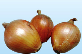 淡路島玉ねぎ　訳あり品 20ｋｇ　まとめてお得！納豆菌栽培　残留農薬不検出で安心！