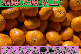 【濃厚！絶品！糖度15度以上】蔵出し　青島みかん　5kg