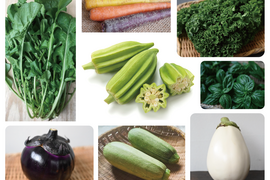 【月・金曜発送便】ココロ踊る🌈おまかせ野菜セット【さいたま市産】