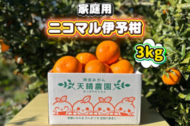 🍊香り推し🍊伊予柑　家庭用 3kg