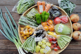 青森県十和田市産　天日干しにんにくも入ります　「おひさま便！野菜セット」