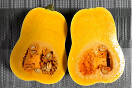 【有機種子・固定種】大人気！バターナッツかぼちゃ4〜6玉（4㎏）